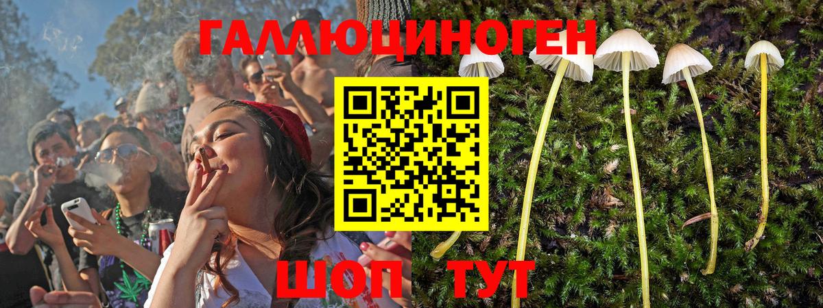 Псилоцибиновые грибы Psilocybe  Вход с VPN  Бузулук 