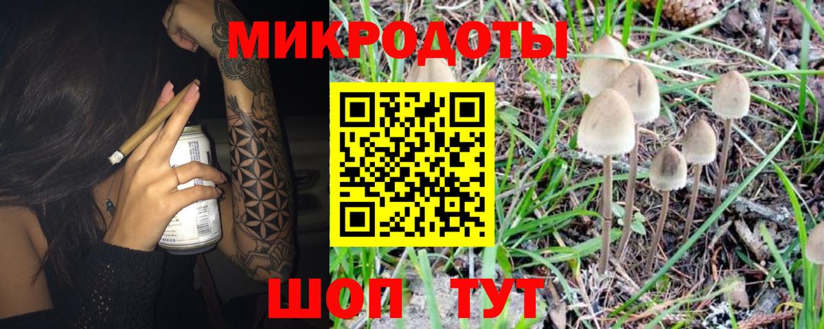 Псилоцибиновые грибы прущие грибы Бузулук